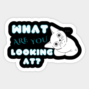 what are you looking at? Sticker